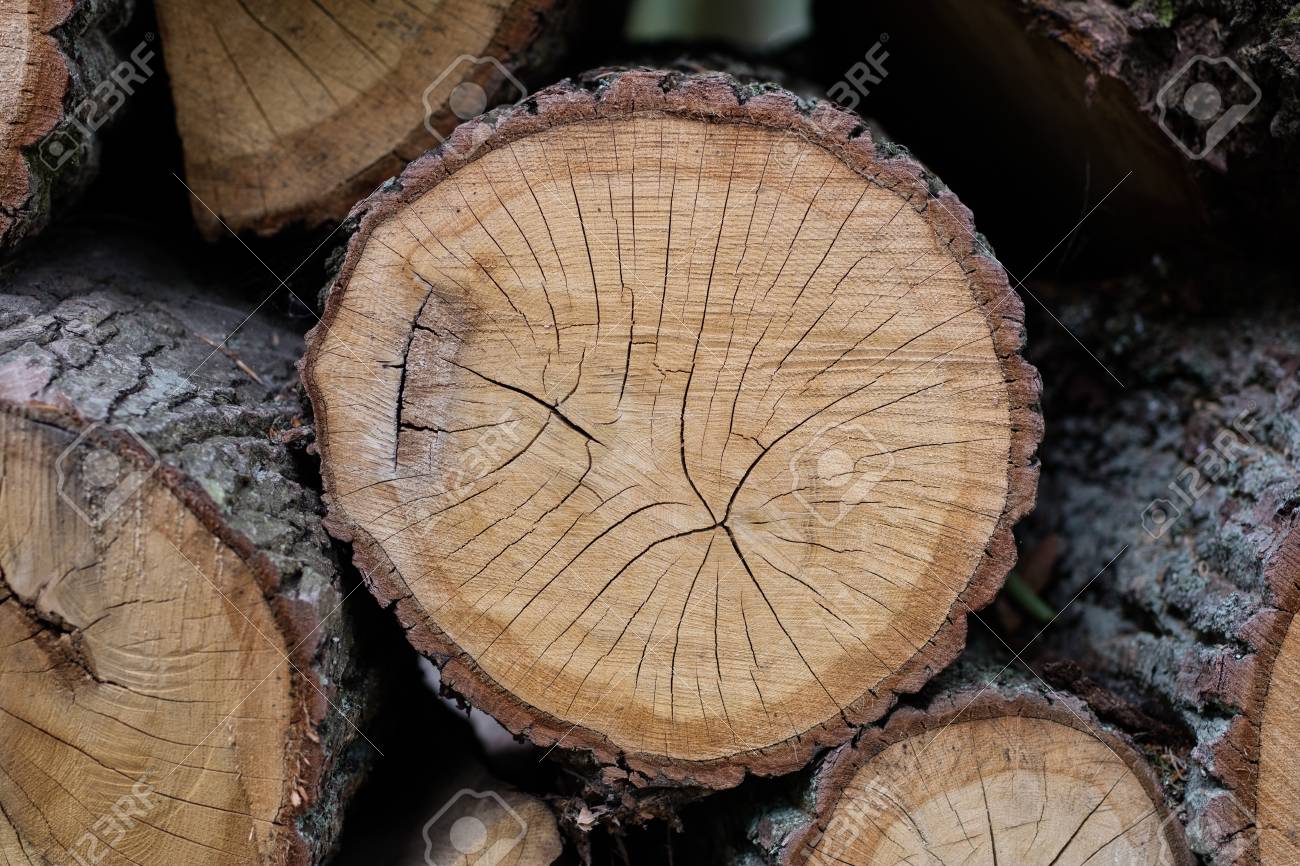 Alder Wood