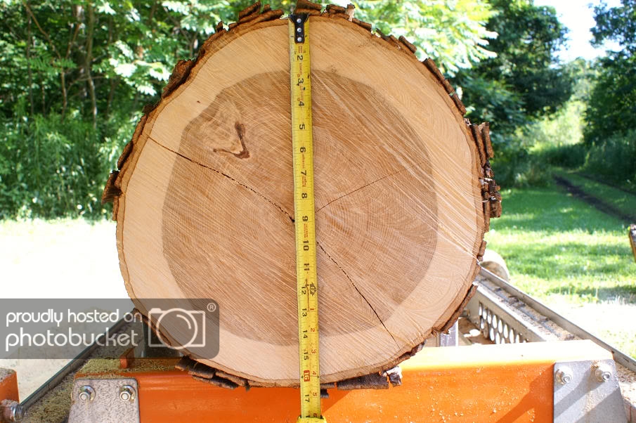 Hickory Log