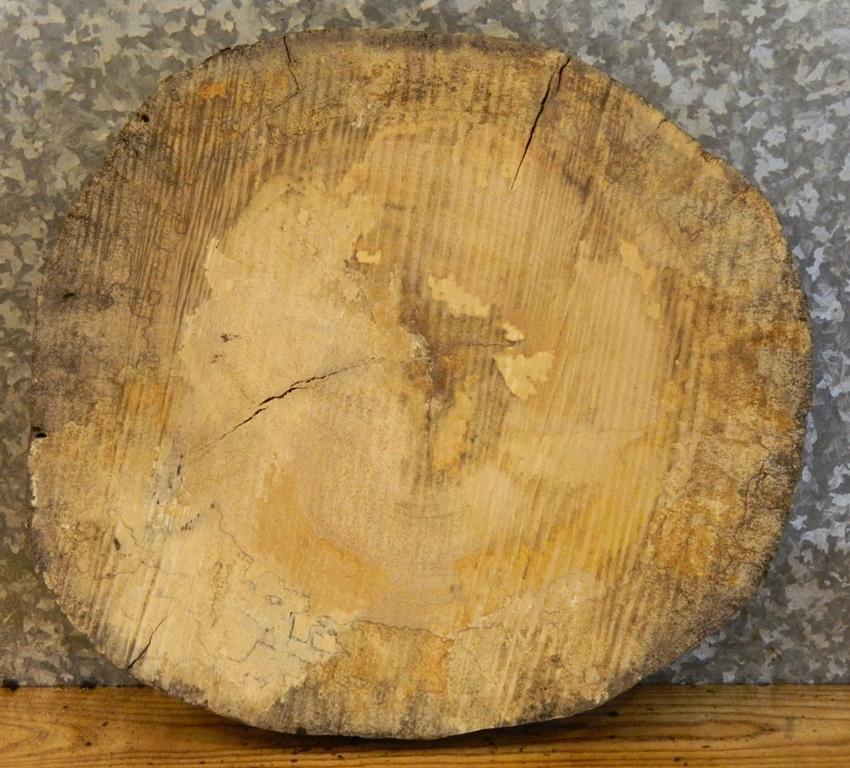 Maple Log