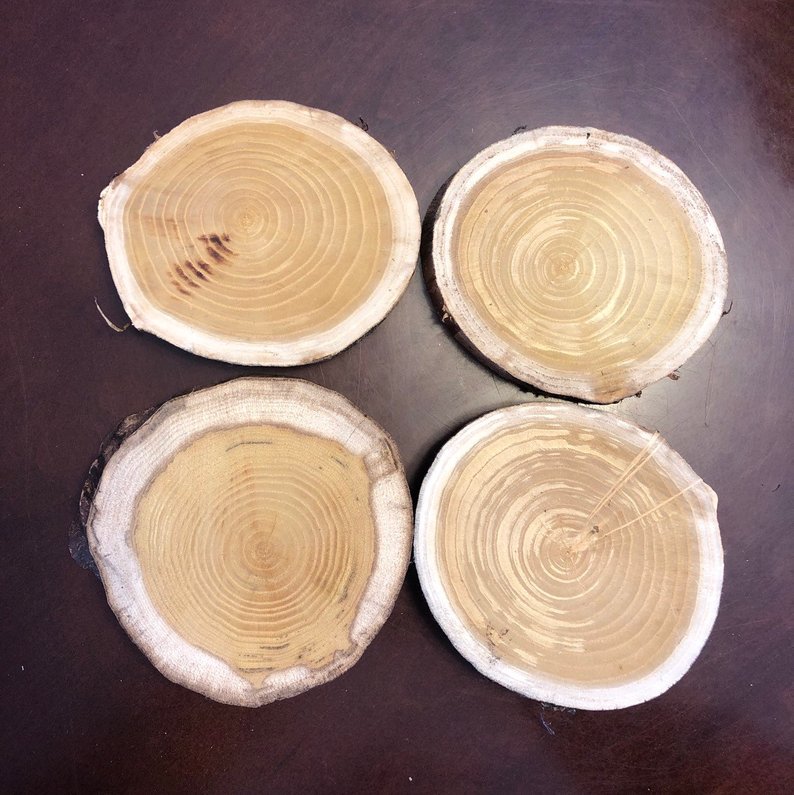 Mulberry Log