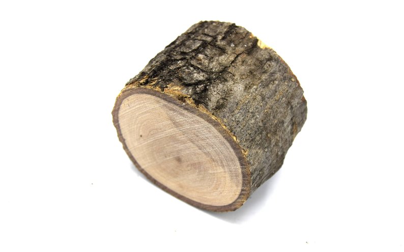 Olive Log